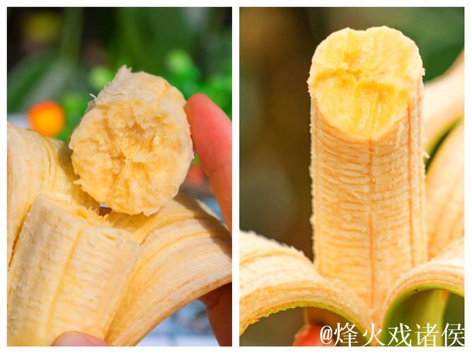 1024香蕉视频 1024香蕉视频