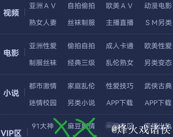 探索91视频麻豆背后的故事与精彩内容