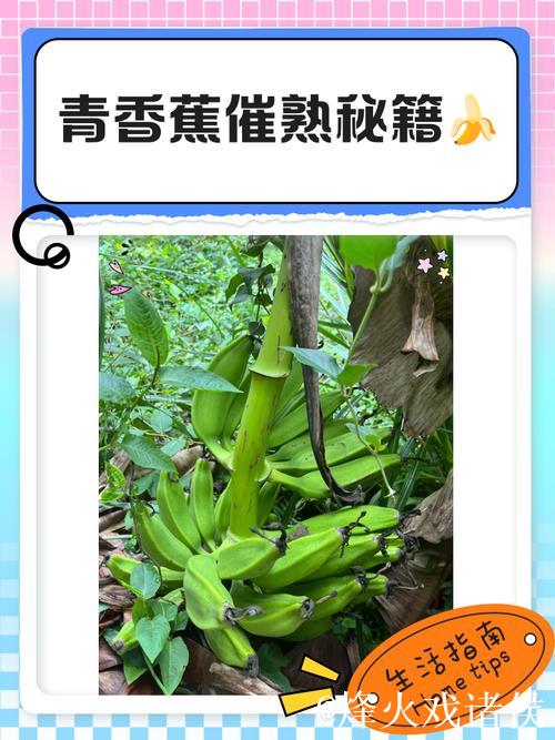 青青草大香蕉的奇妙世界探索